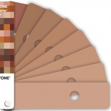 Pantone Skintone Guide Shades Of Nude Vrogue Co